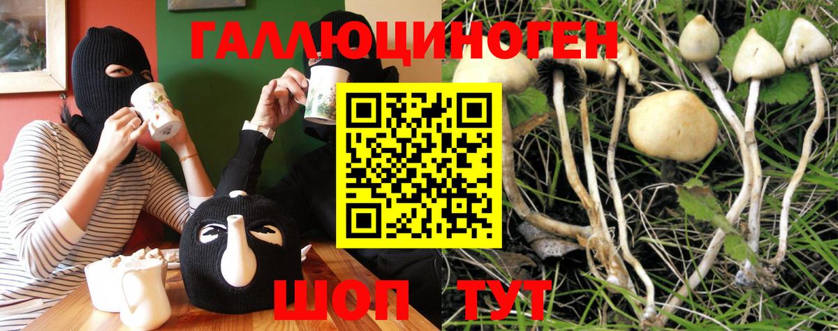 Пятигорск  Псилоцибиновые грибы GOLDEN TEACHER  Вход с VPN  купить наркотик  Галлюциногенные грибы GOLDEN TEACHER 
